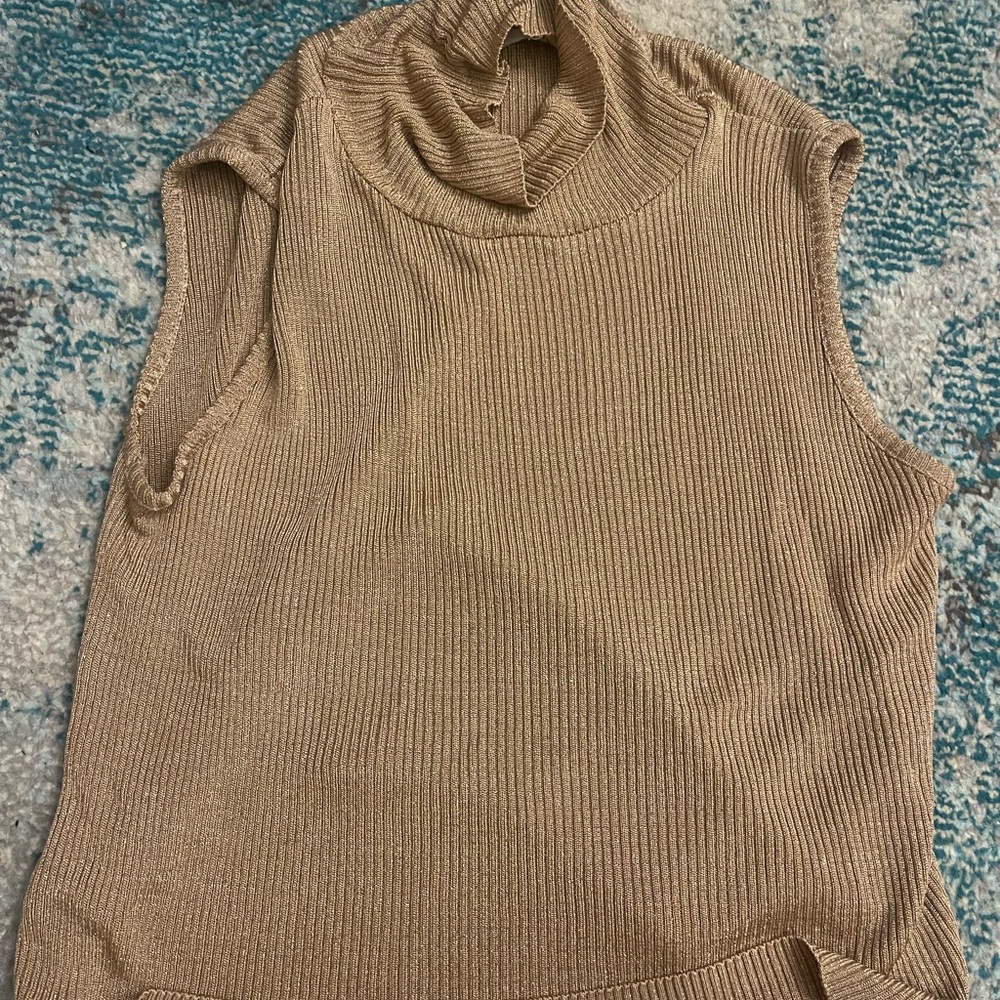 Sleeveless Tan/Gold Sweater